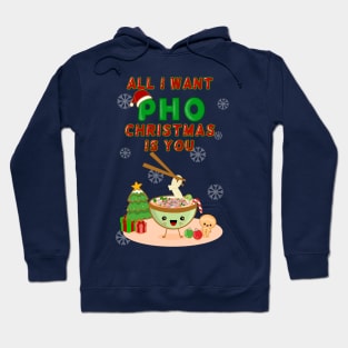 All I Want PHO Christmas is You! Hoodie